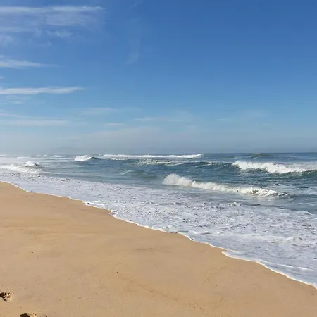 Location Le Penon Appartement